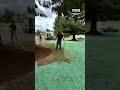 With this thick green spray, hydroseeding refreshes an entire lawn #shorts