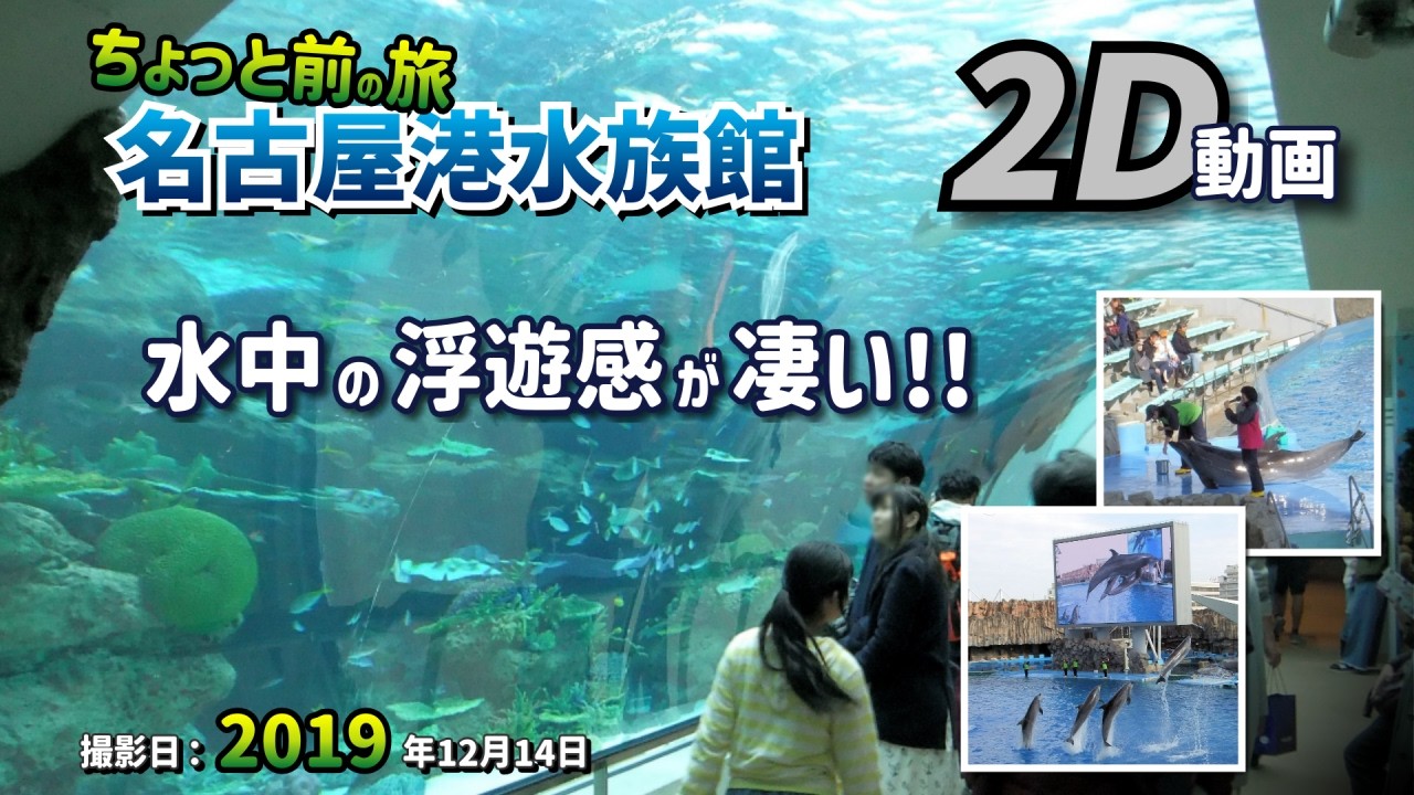 【2D動画 / 2D Video】名古屋港水族館 ちょっと前の旅 水中の浮遊感が凄い!!【愛知県 名古屋市 港区 2019年12月14日】
