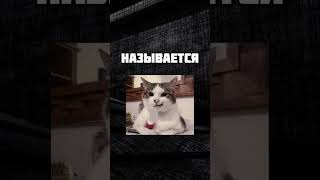 ТИПИЧНЫЙ БЛОГЕР #letsplay #игры #memes #shotrs #contentwriting