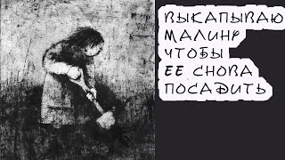 картинка: Как обновить посадки малины