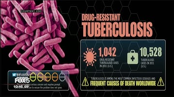 The Big Idea: Fighting Superbugs