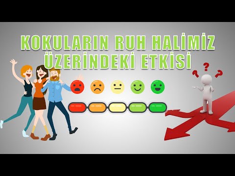 Video: Kokular Ruh Halini Ve Refahı Nasıl Etkiler?