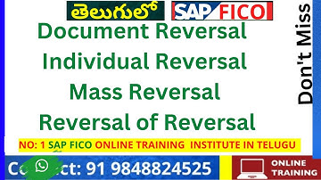 Document Reversal in SAP FICO  - Individual Reversal - Mass Reversal -  Reversal of Reversal