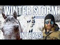 WINTER STORM IN TEXAS - Rodeo Time 232