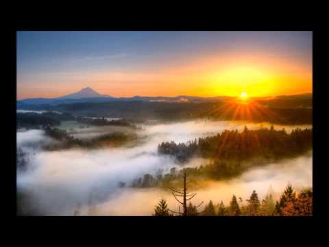 Tu Hi Tu Nazar Aaye Song