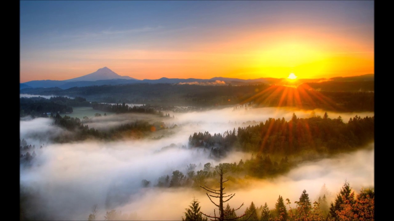 tu hi tu nazar aaye song  Bk sapna,brother brejesh mishra