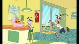 Poochini - Épisode 73 - Un Drôle De Bébé