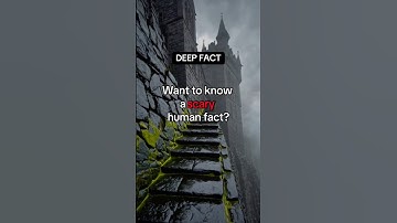 🧠 Memory is a story, not history. #memories #psychology #facts #shorts #shortvideo