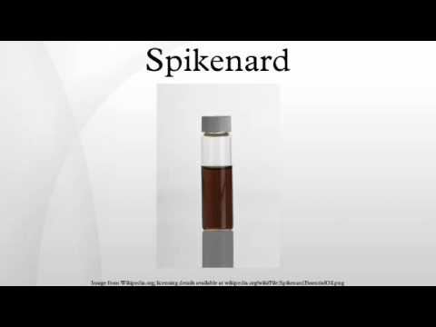 Spikenard