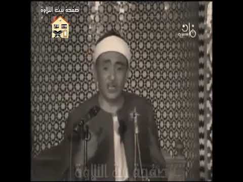 سبحت لله فى العش الطيور نصر الدين طوبار رحمه الله