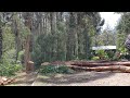 Storm damage