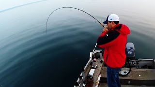 Salmon & Lake Trout Jigging Technique