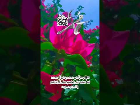 القارئ محمد الفقيه ان الله وملائكته يصلون على النبي