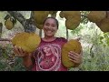 Fazendo bolinho de sal e água + tirando jaca