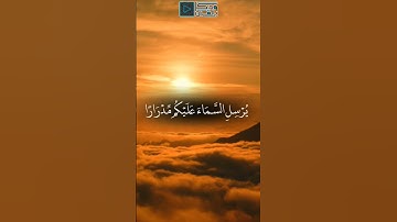 صاحب الحنجرة الذهبية الشيخ ياسر الدوسري #القرآن_الكريم #تلاوة_خاشعة #راحة_نفسية #viral #فلسطين #fyp