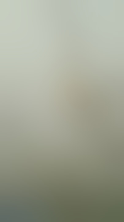 ngentot angjin bangsat