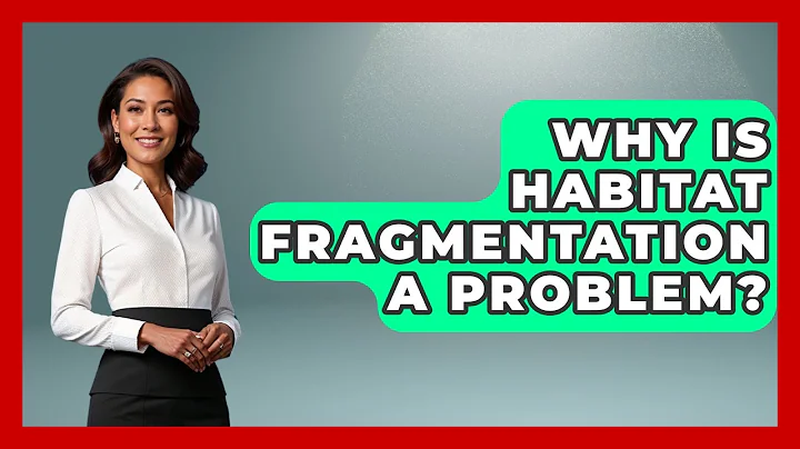 Why Is Habitat Fragmentation A Problem? - The Wild Life Explorer
