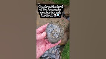 Fossil Rock fresh from the cliffs! ⛰️ #fossilhunting #fossils #shorts #coast #sea #beach #ammonite