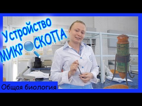 Видео: Как устроен микроскоп?