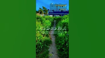 لنتمشى ونستمع 🎧🚶‍♂️اكتب شيء تؤجر عليه…‏‎#اكسبلور #tree #قرآن #street #سورة_الطلاق #ماهر_المعيقلي
