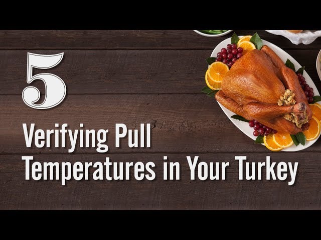 Guess who forgot to take the thermometer out when I checked on the turkey?  : r/facepalm