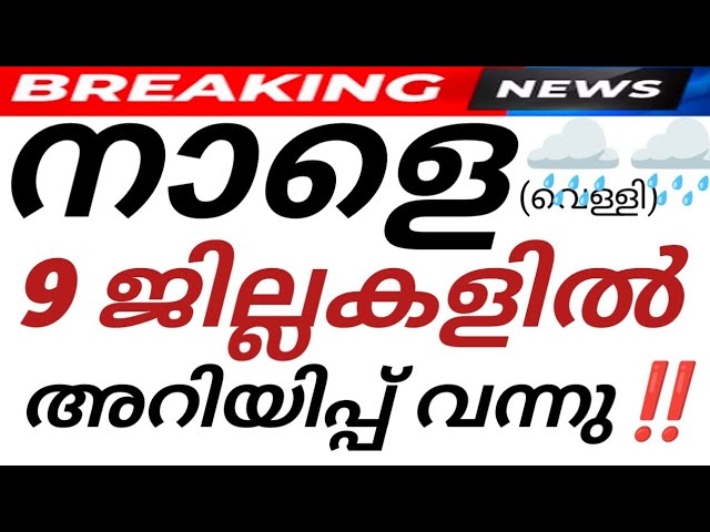 ഈ ജില്ലകളിൽ അവധി സാധ്യത‼️SCHOOL HOLIDAY NEWS TOMORROW MALAYALAM |KERALA RAIN NEWS | AVADHI VARTHA 