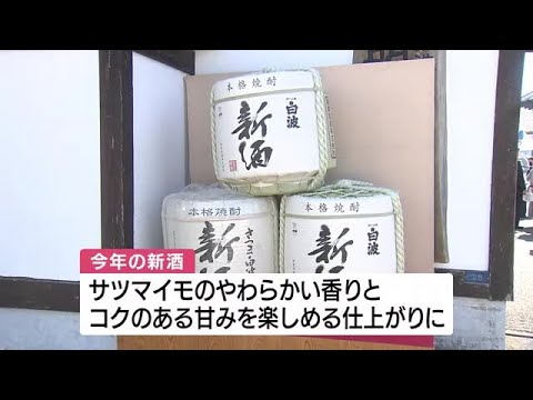 ４年ぶりの「新酒まつり」開催　できたての焼酎楽しむ　鹿児島・枕崎市 (23/10/31 11:40)