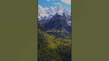 وَيَوْمَ يُنفَخُ فِي الصُّورِ   سورة النمل   علي جابر 1920p 30fps VP9 LQ 128kbit AAC
