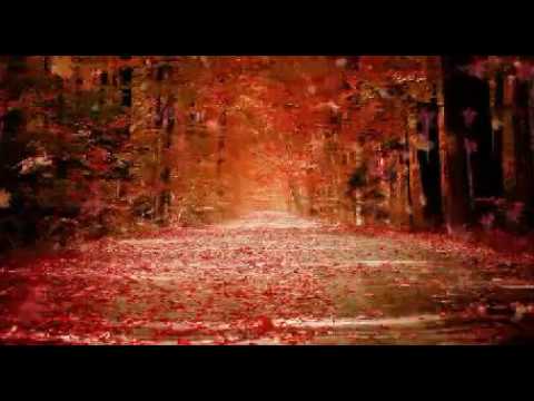 我不想說