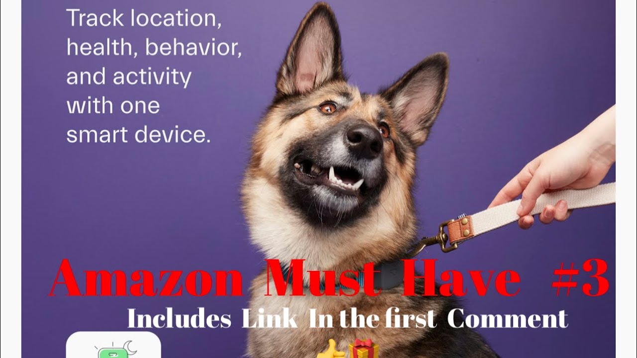 Amazon Must Have #3 Dog Whistle/GPS tracking, health behavior & activity with 1 smart device link