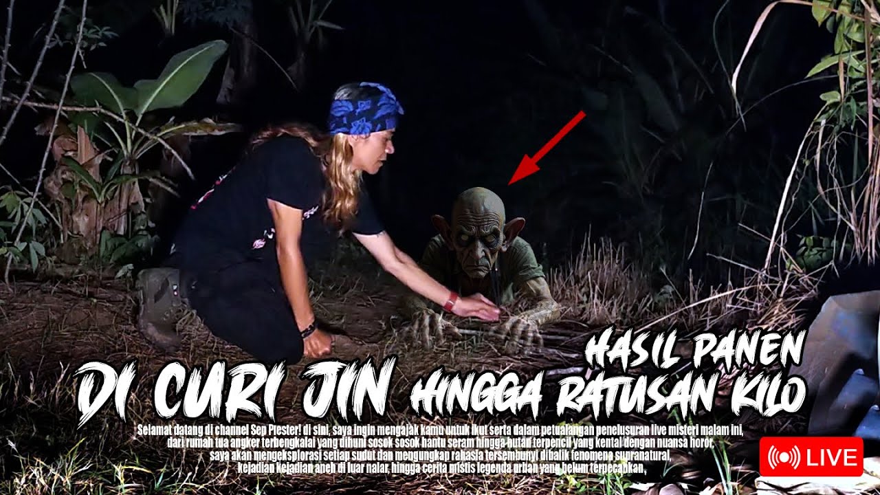 Di Curi Jin! Ratusan Kilo Hasil Panen Hilang
