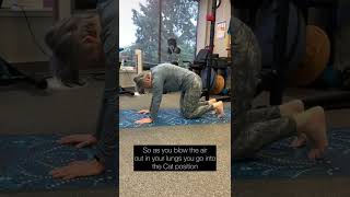 Cat-Cow Yoga Stretch For Spinal Mobilization