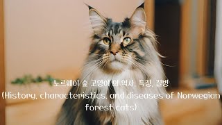 History, characteristics, and diseases of Norwegian forest cats