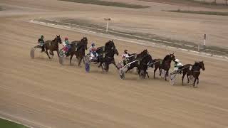 Vidéo de la course PMU PREMI GRAN PREMI DE PRIMAVERA