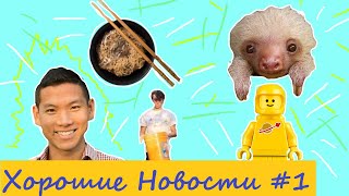 хорошие новости #1 (обертка-соус, пандус из лего, мангровые заросли, бабочки, ленивцы)