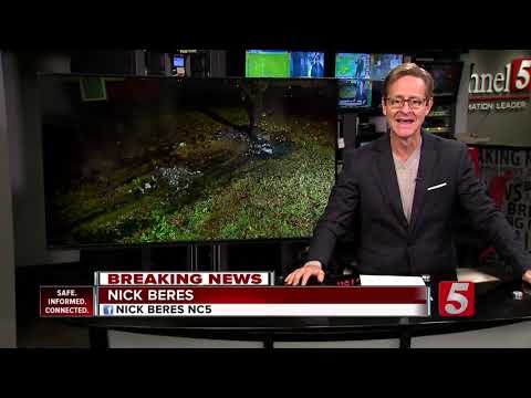 Car hits tree,