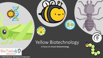 Learn about Insect Biotechnology (Yellow) in 8 Minutes