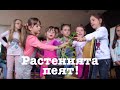 Песента на цветята - Експеримент на Списание 8