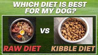 The Raw Diet vs. Kibble Debate for Dogs