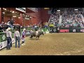 Gillette's Hayden Welsh, competing for Odessa College, scores 83.75 points on Mr. Brightside at the