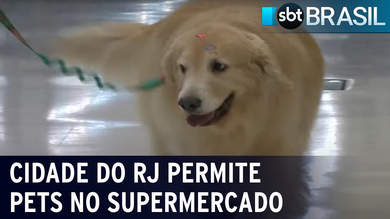 Cidade do Rio autoriza entrada de animais domésticos em supermercados | SBT Brasil (06/08/22)