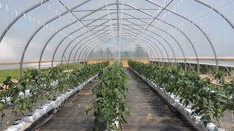 NEW HYDROPONIC GREENHOUSE ( PART 3) SYSTEM AND NUTRIENTS