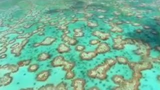 The Great Barrier Reef and Other Natural Wonders of Australia | David Attenborough | BBC Studios