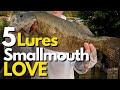 5 Best Smallmouth Bass Lures Based on Their Behavior