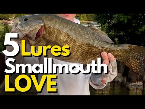 Video: Vad är en bra storlek smallmouth bas?