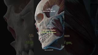 Quran recitation of Surah Ar-Rum Ayat {40} by Yasser Al Dossari