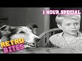 Lassie | 1 Hour Compilation | Full Episodes | Kids Cartoon | Videos For Kids