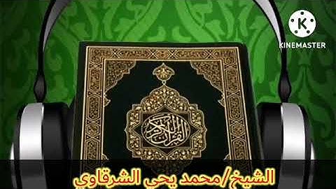 الشيخ/محمد يحي الشرقاوي|سورة غافر |قرآن الفجر |الاثنين 8/8/2022