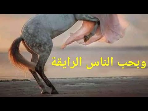 امانه ما تمشي يا قمر الليل اه يا محلي الليل ويا حبيبي