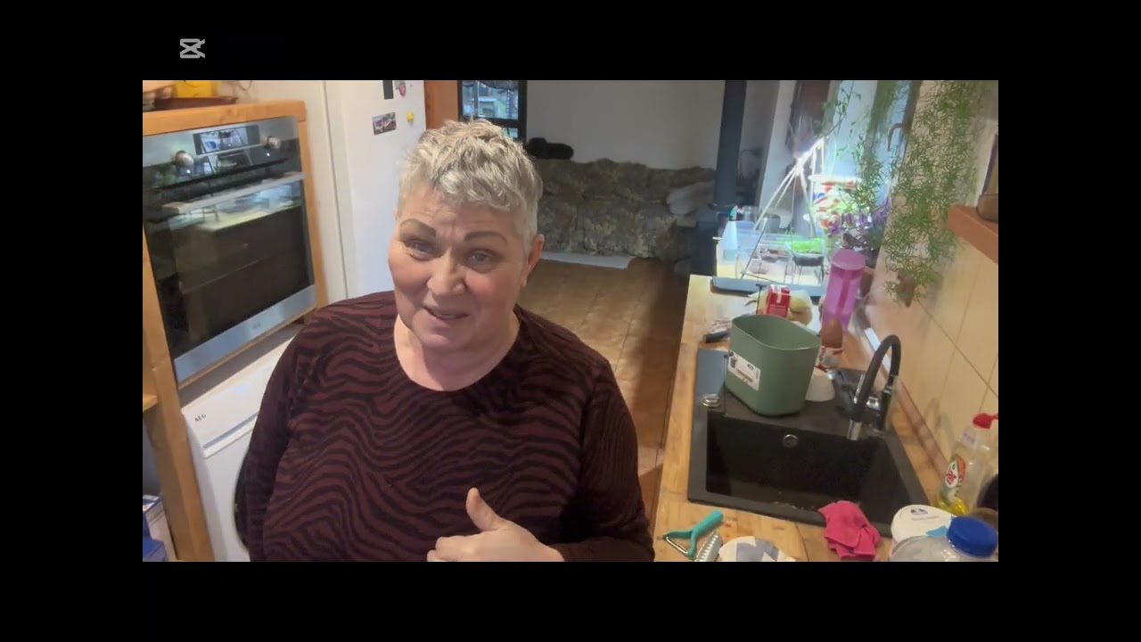 Немного из жизни эмигрантов в Чехии и не только.